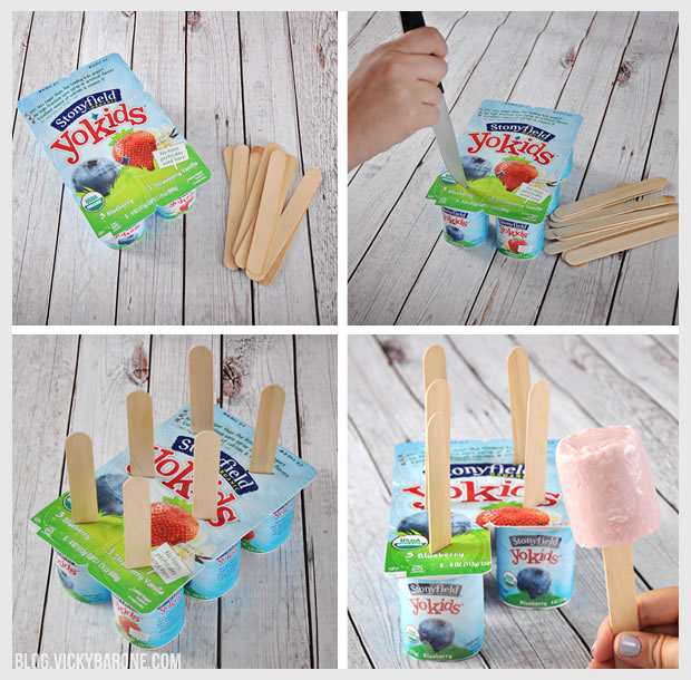 Yogurt Cup Popsicles Vicky Barone