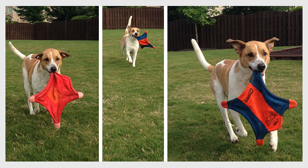 CooperFrisbee_combined_withFrame