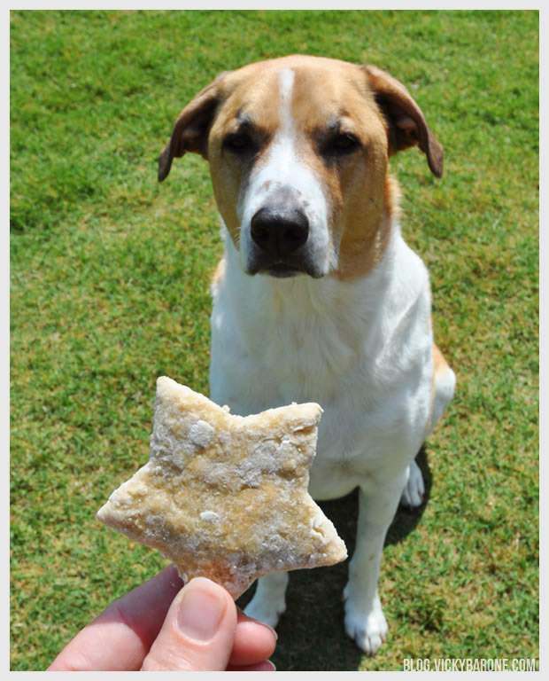 Baby Food Dog Treats | Vicky Barone