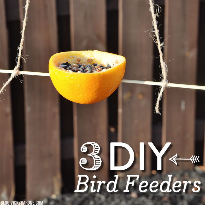 3 DIY Bird Feeders