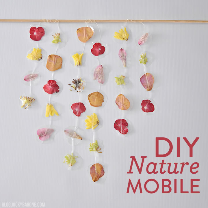 DIY Nature Mobile