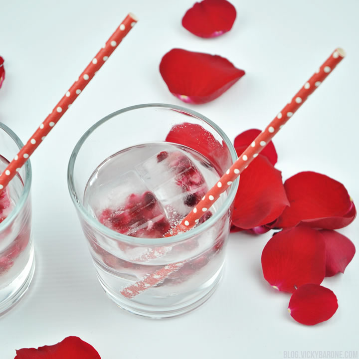Pomegranate Seed Ice Heart Ice Cubes | Valentine's Day | Vicky Barone