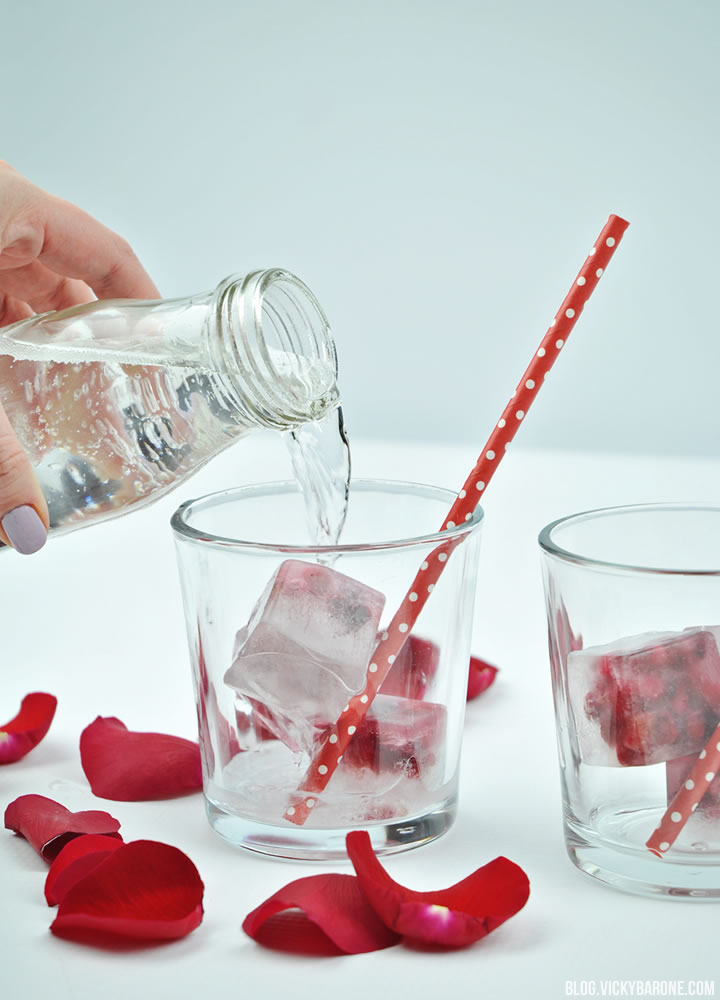 Pomegranate Seed Ice Heart Ice Cubes | Valentine's Day | Vicky Barone