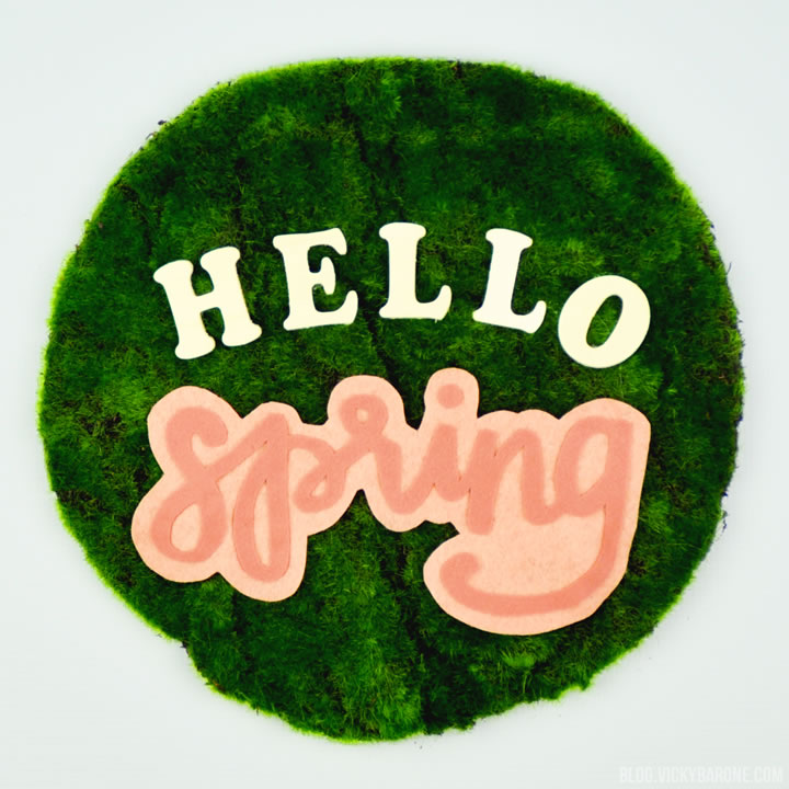 DIY Moss Door Hanger | Hello Spring | Vicky Barone