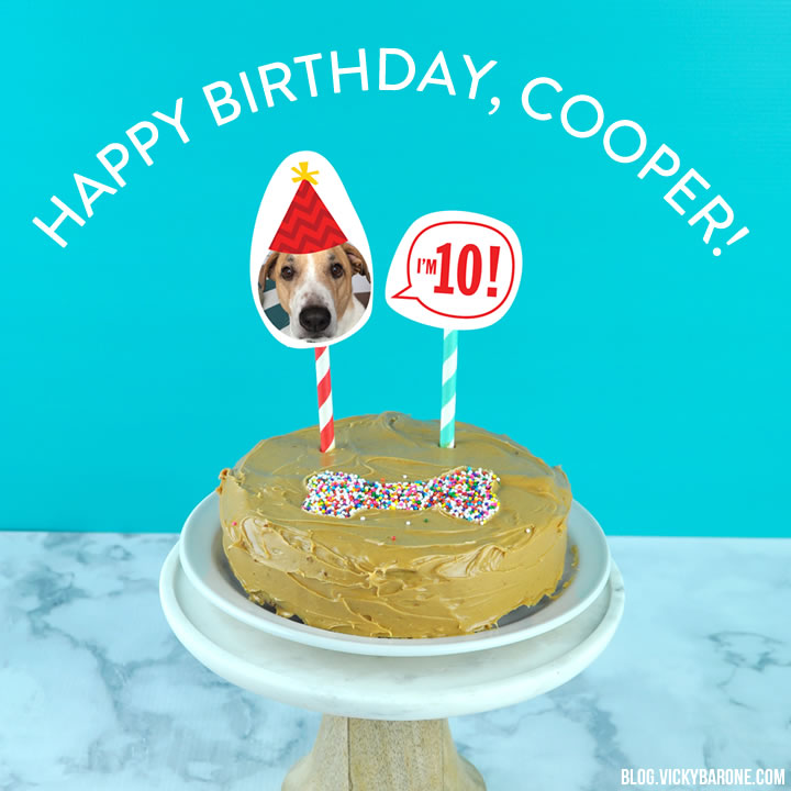Happy 10th Birthday, Cooper!