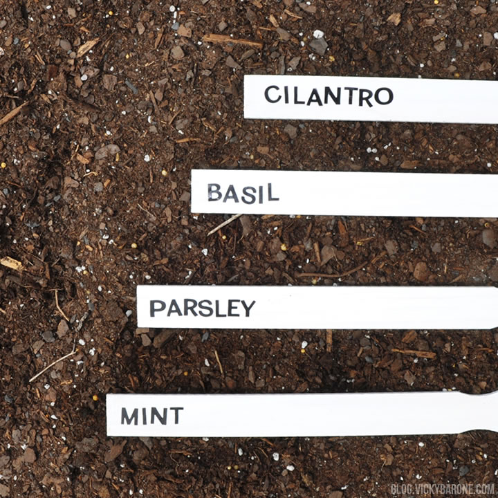 DIY Paint Stick Garden Markers | Vicky Barone