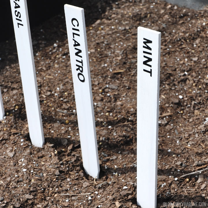 DIY Paint Stick Garden Markers | Vicky Barone
