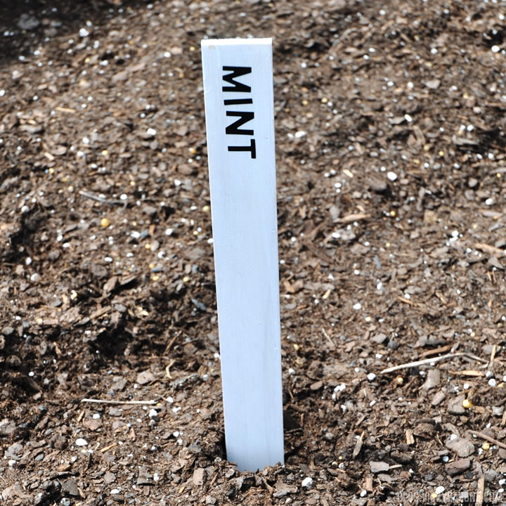 DIY Paint Stick Garden Markers | Vicky Barone